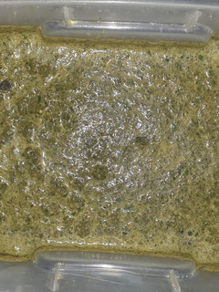 Una foto de Pesto