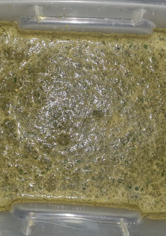 Una foto de Pesto