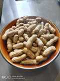 Boiled Peanut