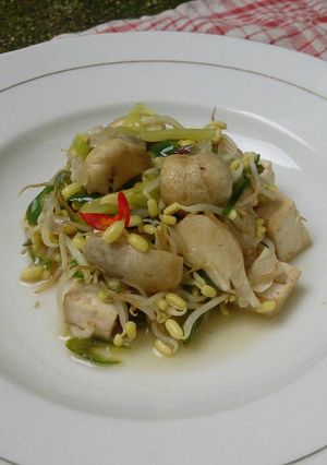 Foto resep Tumis jamur merang,toge dan tahu