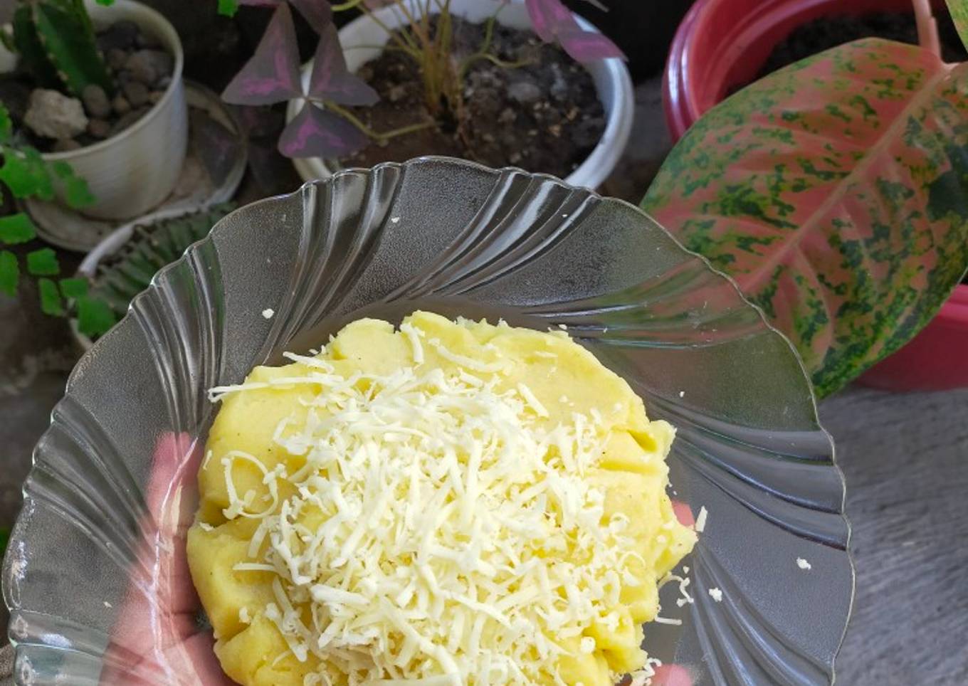 Potato mpasi
