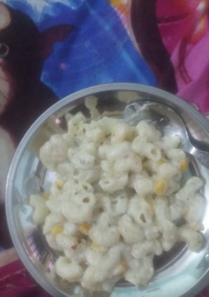 A picture of White sauce pasta.