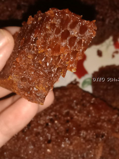 Foto resep Bolu Sarang Semut (bolu karamel)