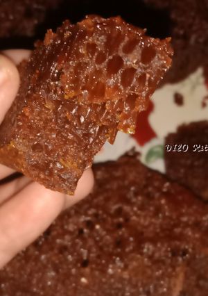 Foto resep Bolu Sarang Semut (bolu karamel)