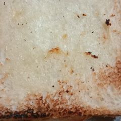 A picture of Roasted Bread slices.