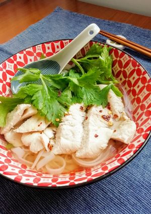 Foto di Pho Ga Vietnamita (di pollo)