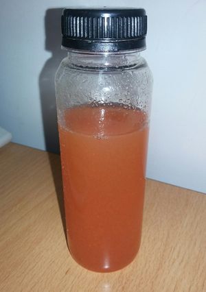 Foto resep Jus Tomat Wortel