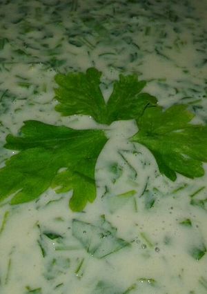 صورة لوصفة بقدونسية 🍀