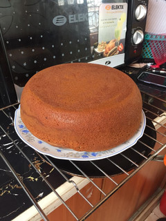 A picture of Zebra cake.