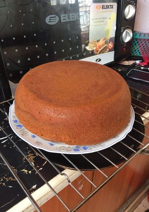 A picture of Zebra cake.