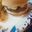 Cheddar Melt Burger and Fries