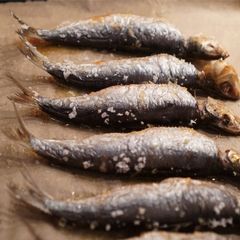 A picture of 🐟 Grilled Sardine, the simplest.