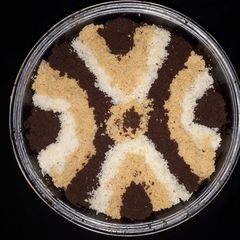 A picture of Carpet Pudding.