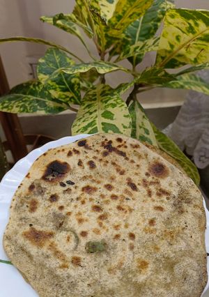 A picture of Sattu parathas.