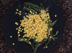 Una foto de Discada Rosales (al disco de arado)