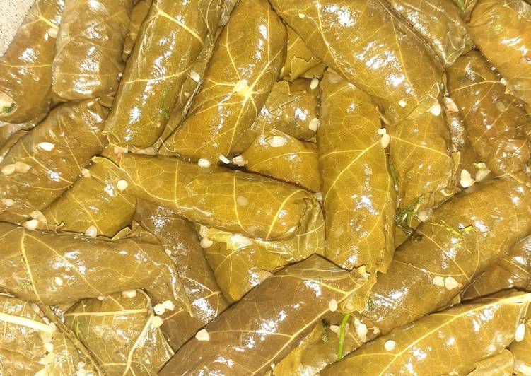 لذيذجدًا محشي ورق عنب 😍 سهلولذيذ: محشي ورق عنب 😍
