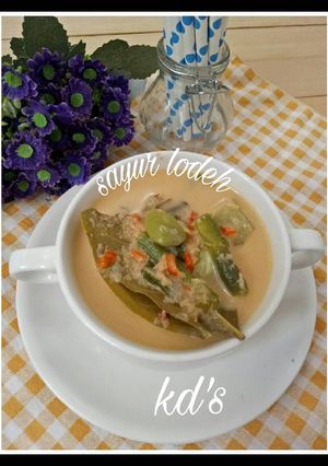 Foto resep Sayur Lodeh