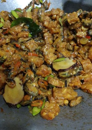 Foto resep Sambel goreng Kerang tempe bumbu iris
