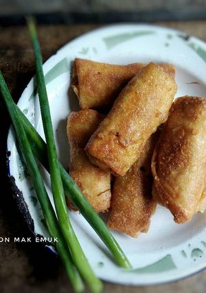 Foto resep Risol Bihun