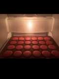 Raspberry/Strawberry Greek Yoghurt Melts