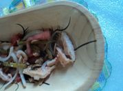 Una foto de champiñones a la vinagreta