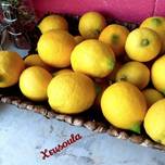 Cómo conservar los limones y su jugo