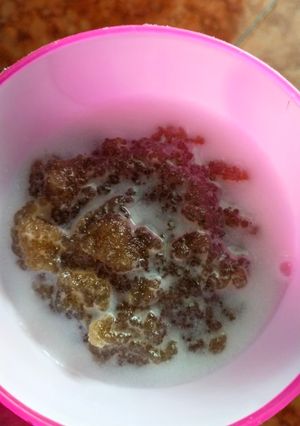 Foto resep Bubur sagu kuah santan