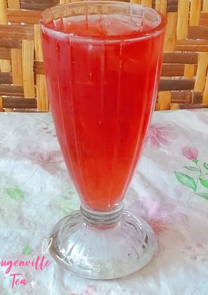 Foto resep Bougenville Tea