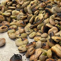A picture of Grilled in-season fava beans / broad beans.