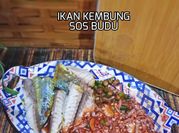 Gambar budu bunga kantan