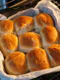 Pav, indiai zsemle (vegán)