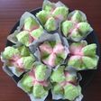 Resep Bolu Kukus Mekar Mudah dan Anti Gagal