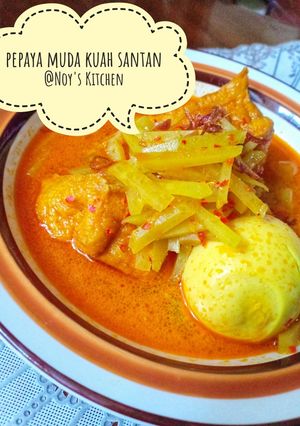 Foto resep Pepaya muda+Telor+ tahu kuah santan