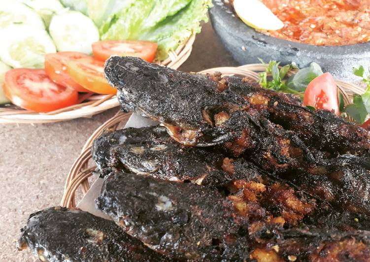 Bagaimana Membuat Lele Bakar Anti Gagal