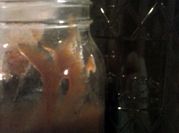 A picture of apple butter