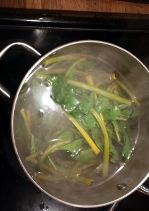 A picture of Beet Greens.