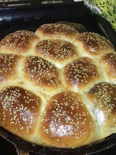 صورة لوصفة خلية النحل(الشهدة)