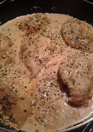 A picture of Hungarian chicken paprikash.