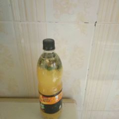 A picture of Women Health /Remedy.
