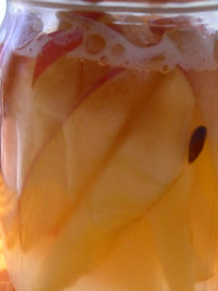 A picture of Homemade Apple Leaven (Bread Starter).