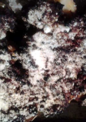 A picture of somekind or another boiled potatoes.