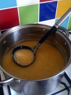A picture of Vickys Soup Tips - Help! I've added too much.......