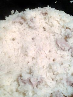 A picture of rice and pork.