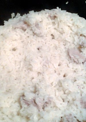A picture of rice and pork.