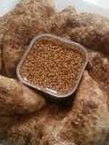 Coriander Tenders w/ Sesame-Ginger Dip