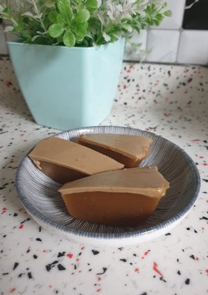 Foto resep Agar agar santan