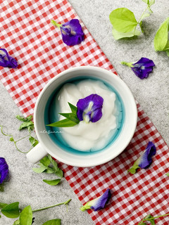 Foto resep Bubur Sumsum Kuah Sirup Telang