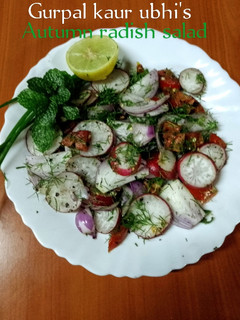 A picture of Autumn radish salad 🥗.