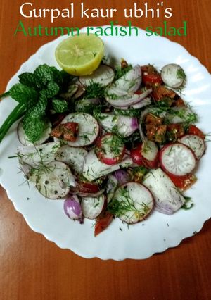 A picture of Autumn radish salad 🥗.