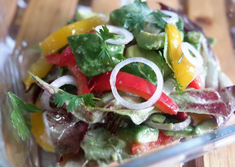 Radicchio and avocado with lemon coriander salad